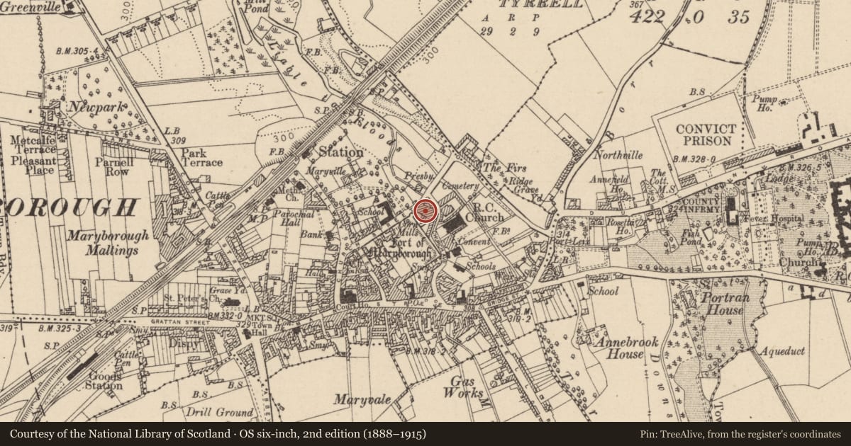 Ordnance Survey six-inch map, 2nd edition (1888–1915) covering the location of Mill - unclassified, Maryborough, County Laois, with a pin at the register's coordinates