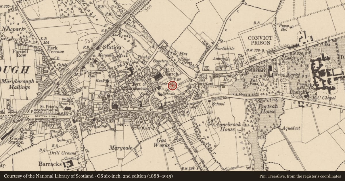 Ordnance Survey six-inch map, 2nd edition (1888–1915) covering the location of Town defences, Maryborough, County Laois, with a pin at the register's coordinates