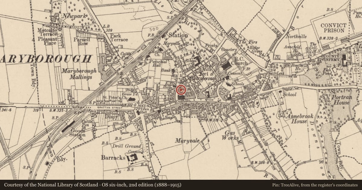 Ordnance Survey six-inch map, 2nd edition (1888–1915) covering the location of Burial, Borris Little, County Laois, with a pin at the register's coordinates