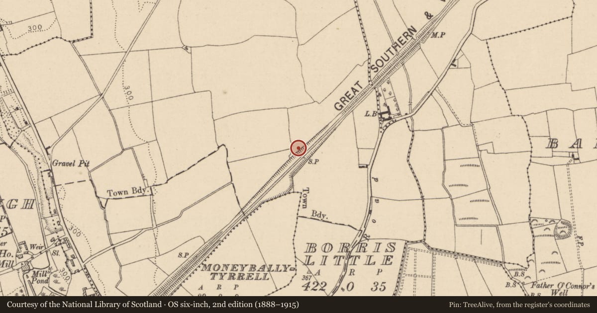 Ordnance Survey six-inch map, 2nd edition (1888–1915) covering the location of Enclosure, Borris Little, County Laois, with a pin at the register's coordinates