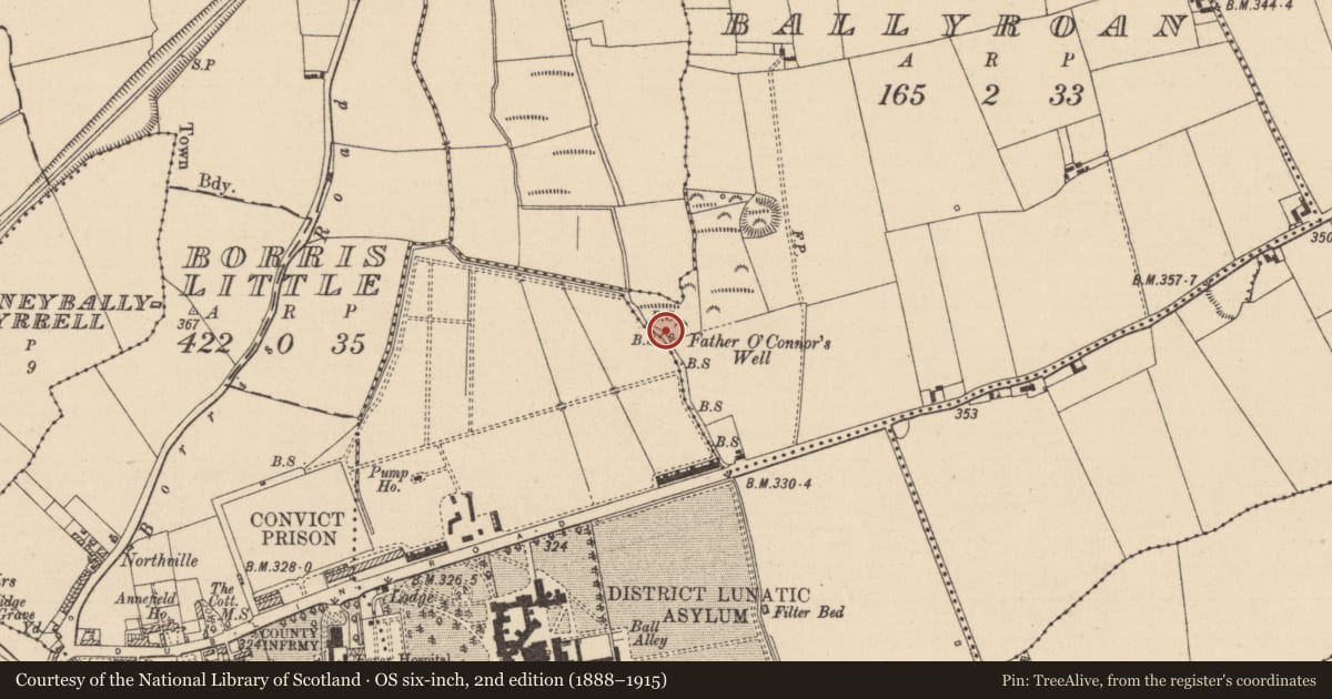 Ordnance Survey six-inch map, 2nd edition (1888–1915) covering the location of Ritual site - holy well, Ballyroan, County Laois, with a pin at the register's coordinates