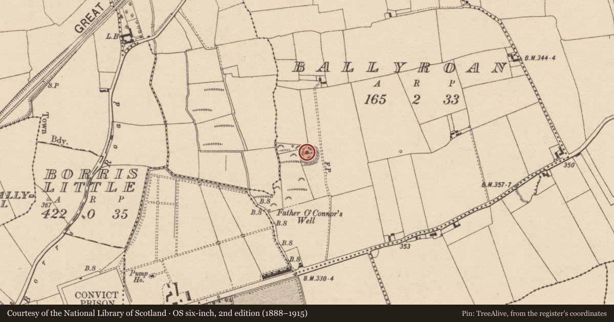 Ordnance Survey six-inch map, 2nd edition (1888–1915) covering the location of Enclosure, Ballyroan, County Laois, with a pin at the register's coordinates