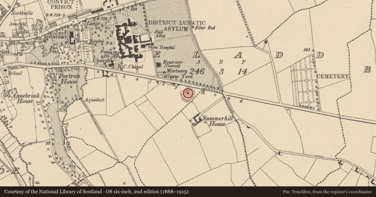 Ordnance Survey six-inch map, 2nd edition (1888–1915) covering the location of Ringfort - rath, Beladd, County Laois, with a pin at the register's coordinates