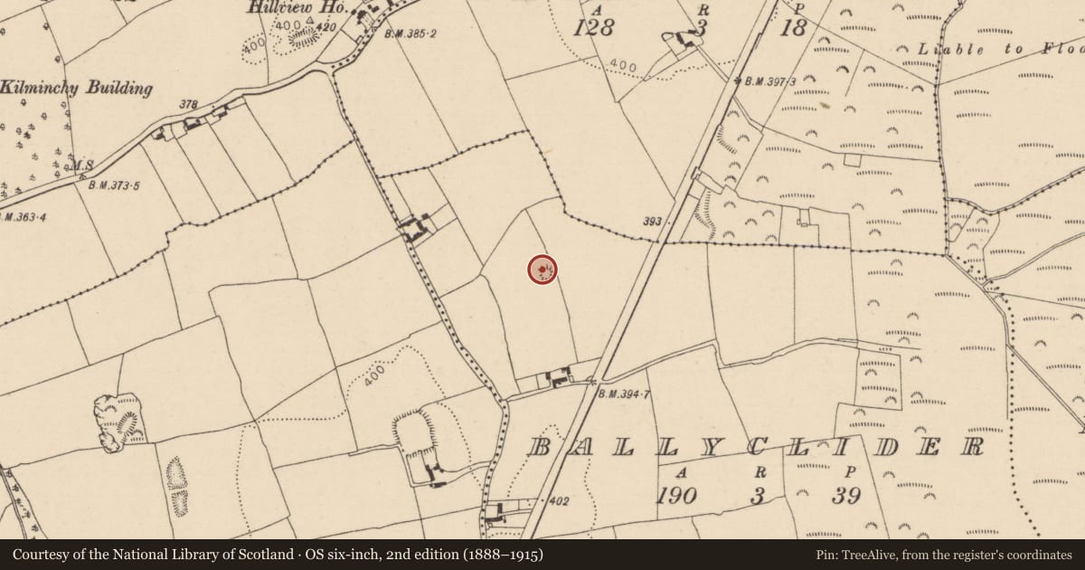 Ordnance Survey six-inch map, 2nd edition (1888–1915) covering the location of Enclosure, Ballyclider, County Laois, with a pin at the register's coordinates
