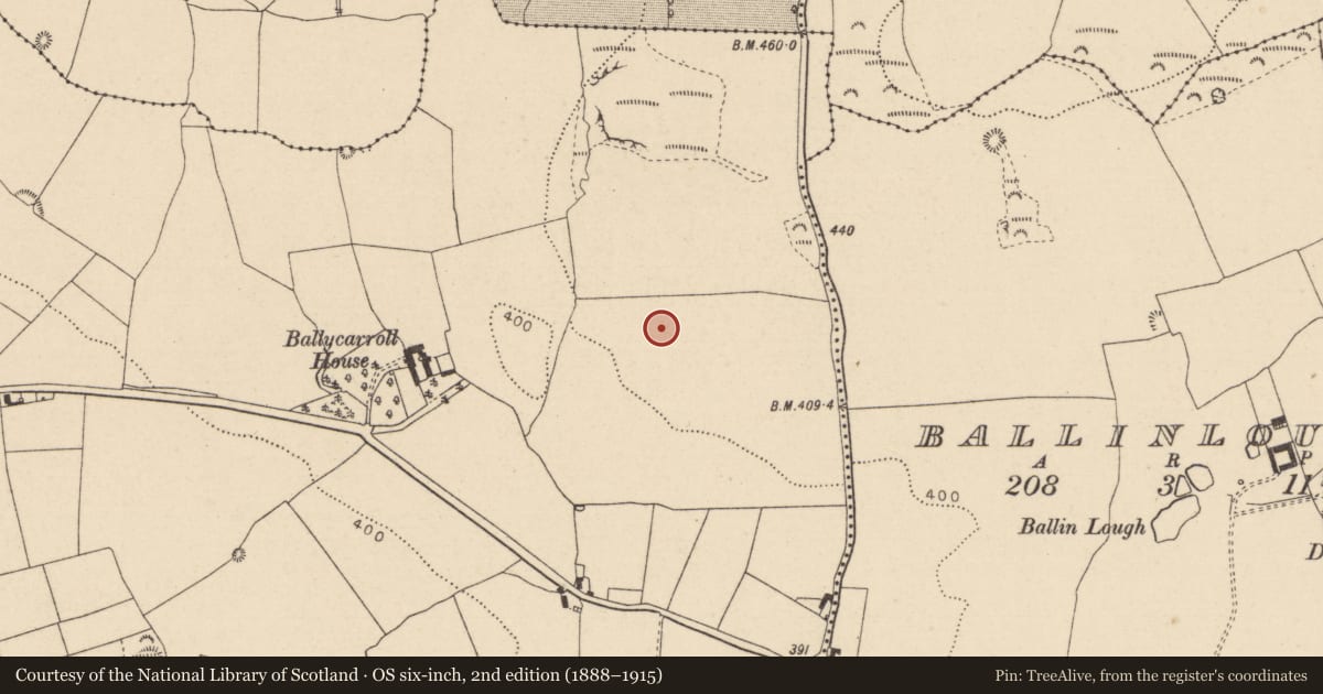 Ordnance Survey six-inch map, 2nd edition (1888–1915) covering the location of Enclosure, Ballycarroll, County Laois, with a pin at the register's coordinates