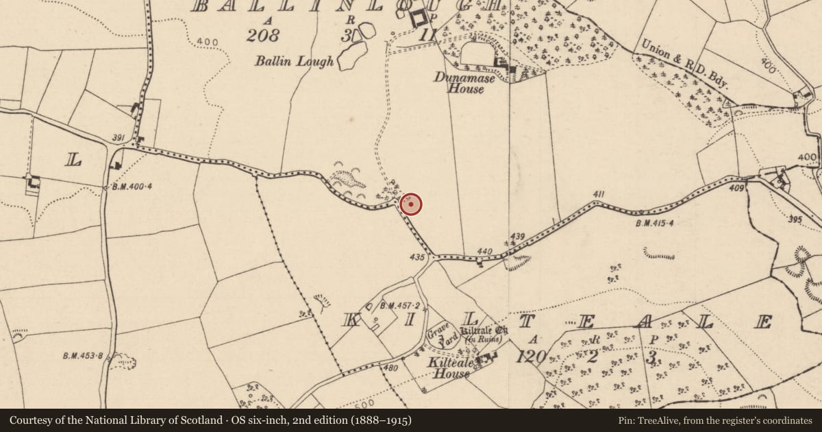Ordnance Survey six-inch map, 2nd edition (1888–1915) covering the location of Burial ground, Ballinlough, County Laois, with a pin at the register's coordinates