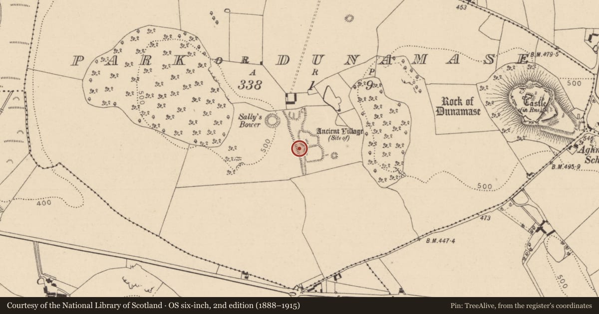 Ordnance Survey six-inch map, 2nd edition (1888–1915) covering the location of Settlement deserted - medieval, Park Or Dunamase, County Laois, with a pin at the register's coordinates