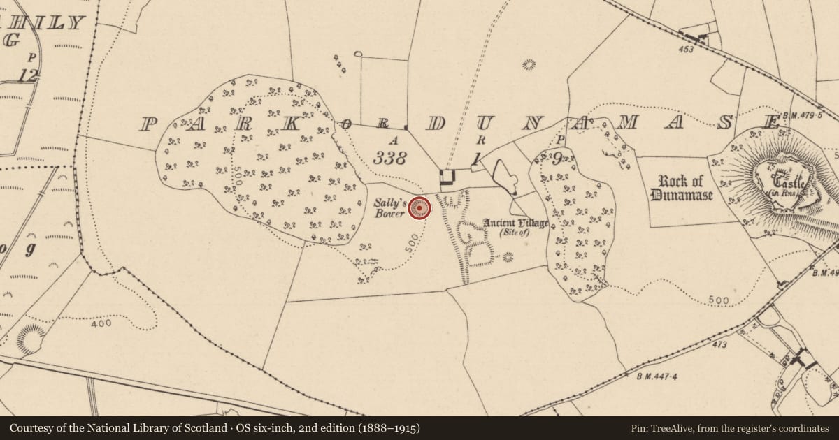 Ordnance Survey six-inch map, 2nd edition (1888–1915) covering the location of Ringfort - rath, Park Or Dunamase, County Laois, with a pin at the register's coordinates