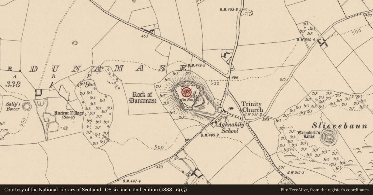 Ordnance Survey six-inch map, 2nd edition (1888–1915) covering the location of Castle - Anglo-Norman masonry castle, County Laois, with a pin at the register's coordinates