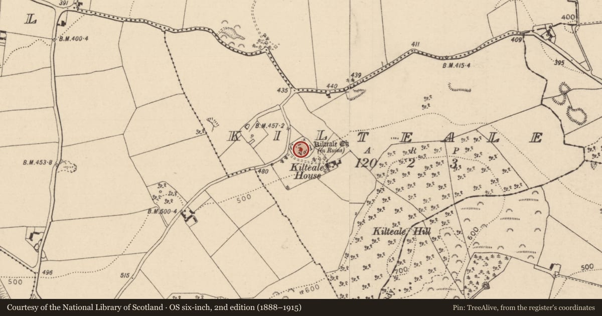 Ordnance Survey six-inch map, 2nd edition (1888–1915) covering the location of Graveyard, Kilteale, County Laois, with a pin at the register's coordinates