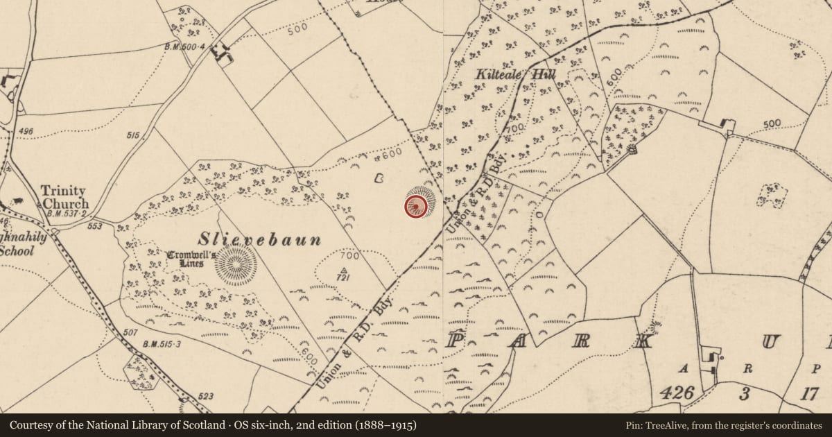 Ordnance Survey six-inch map, 2nd edition (1888–1915) covering the location of Ringfort - rath, Ballycarroll, County Laois, with a pin at the register's coordinates