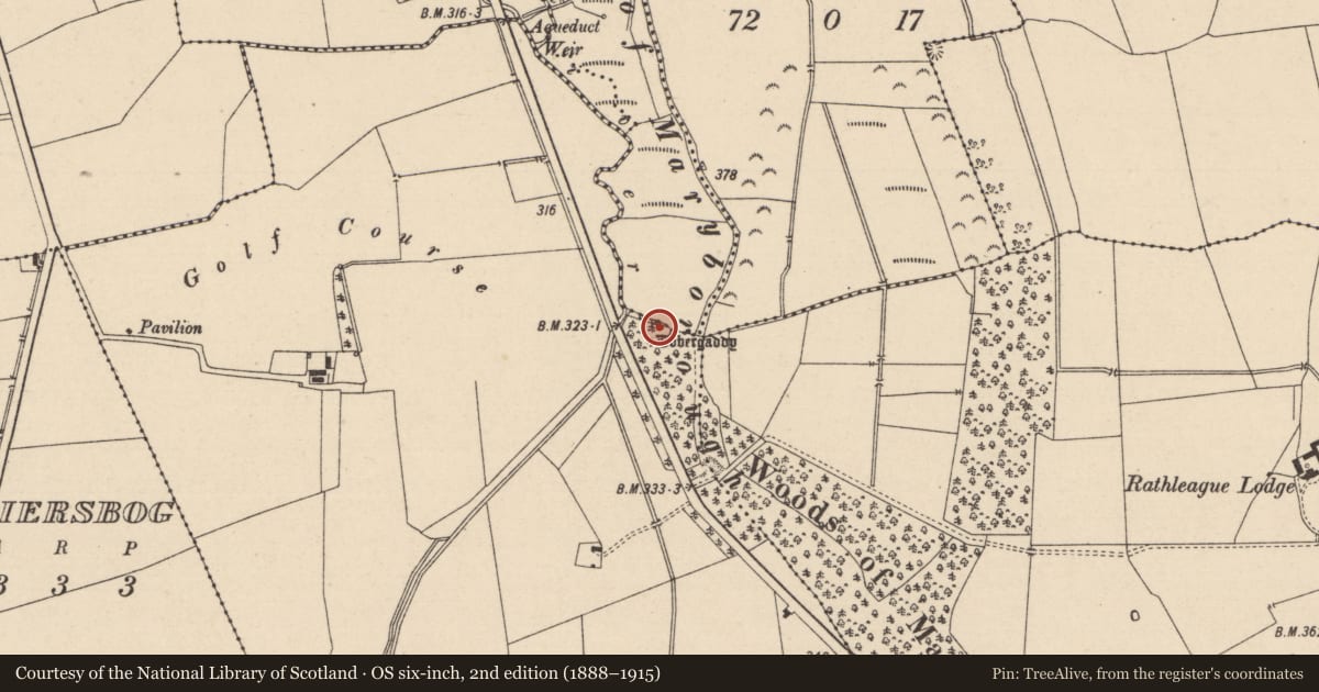 Ordnance Survey six-inch map, 2nd edition (1888–1915) covering the location of Ritual site - holy well, Meelick, County Laois, with a pin at the register's coordinates