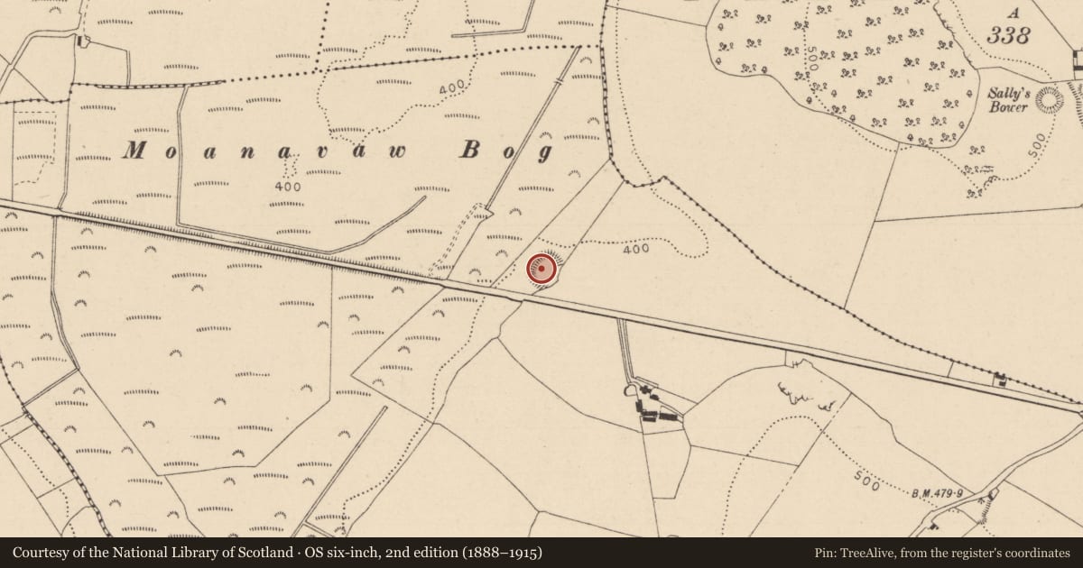 Ordnance Survey six-inch map, 2nd edition (1888–1915) covering the location of Enclosure, Dysart, County Laois, with a pin at the register's coordinates