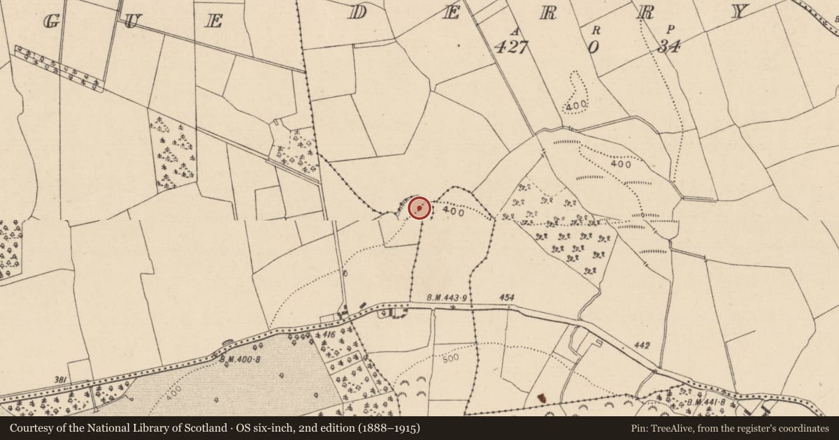 Ordnance Survey six-inch map, 2nd edition (1888–1915) covering the location of Enclosure, County Laois, with a pin at the register's coordinates