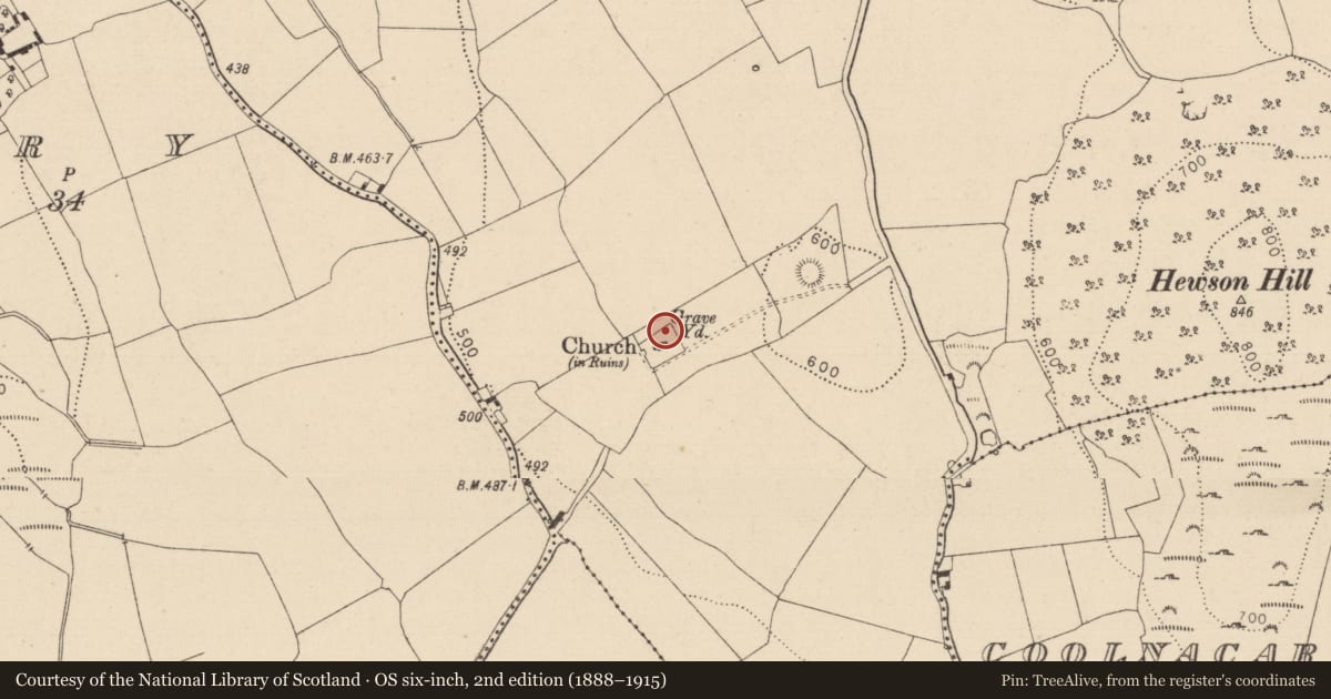 Ordnance Survey six-inch map, 2nd edition (1888–1915) covering the location of Round tower, Dysart, County Laois, with a pin at the register's coordinates