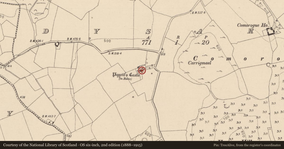 Ordnance Survey six-inch map, 2nd edition (1888–1915) covering the location of Castle - unclassified, Dysart, County Laois, with a pin at the register's coordinates