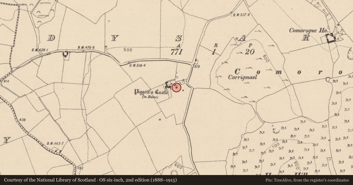 Ordnance Survey six-inch map, 2nd edition (1888–1915) covering the location of Bawn, Dysart, County Laois, with a pin at the register's coordinates