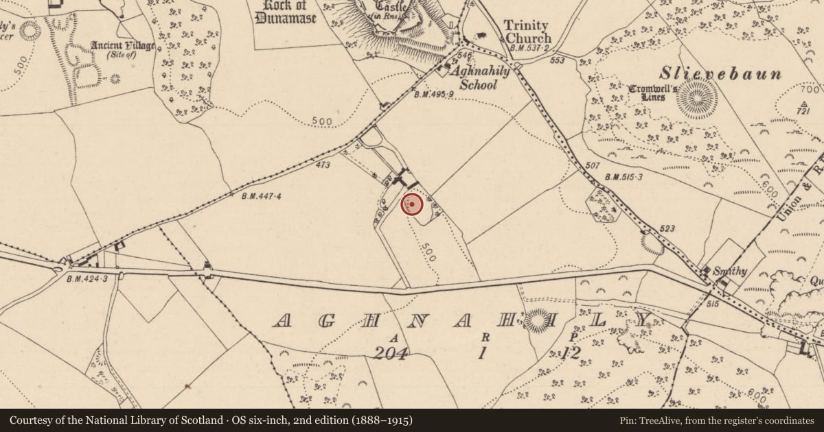 Ordnance Survey six-inch map, 2nd edition (1888–1915) covering the location of Ringfort - rath, Aghnahily, County Laois, with a pin at the register's coordinates