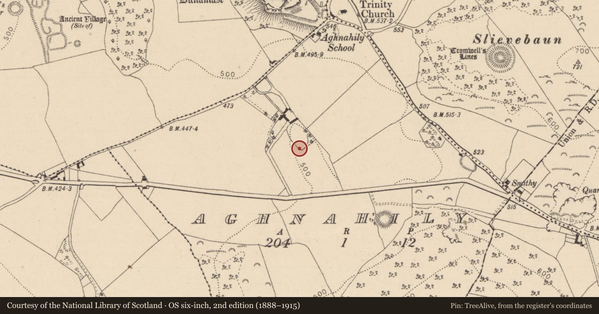 Ordnance Survey six-inch map, 2nd edition (1888–1915) covering the location of Cist, Aghnahily, County Laois, with a pin at the register's coordinates