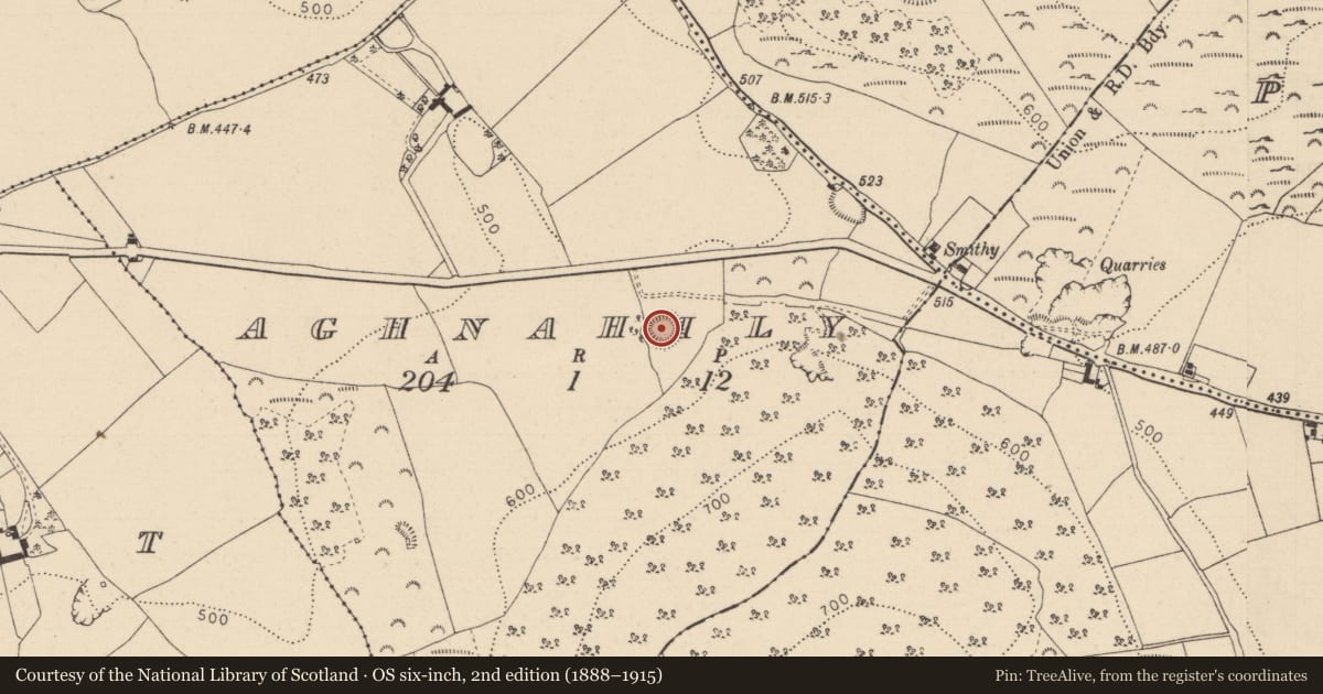 Ordnance Survey six-inch map, 2nd edition (1888–1915) covering the location of Ringfort - rath, Aghnahily, County Laois, with a pin at the register's coordinates