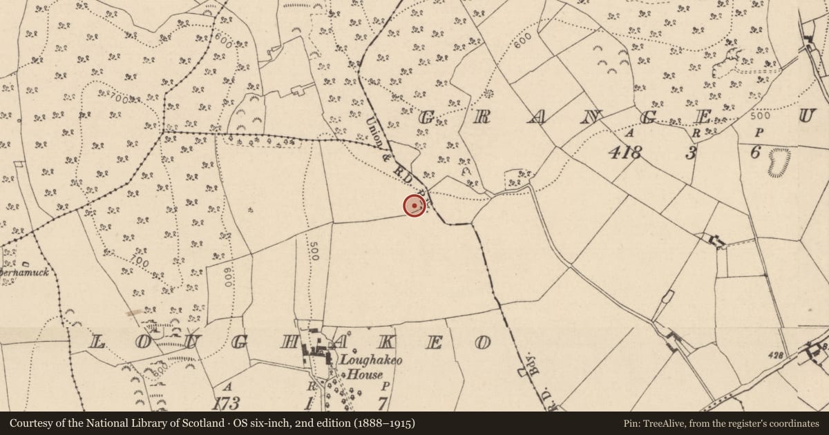 Ordnance Survey six-inch map, 2nd edition (1888–1915) covering the location of Kiln - lime, Loughakeo, County Laois, with a pin at the register's coordinates