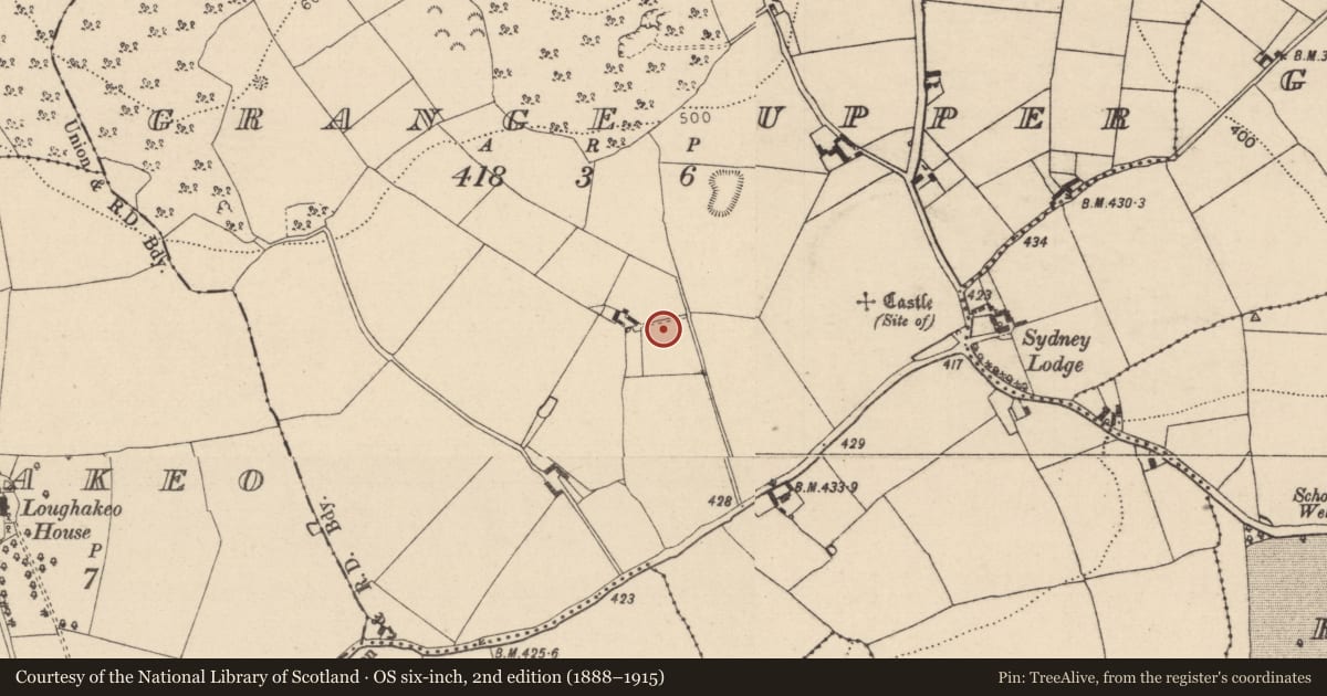 Ordnance Survey six-inch map, 2nd edition (1888–1915) covering the location of Inscribed stone, Grange Upper, County Laois, with a pin at the register's coordinates