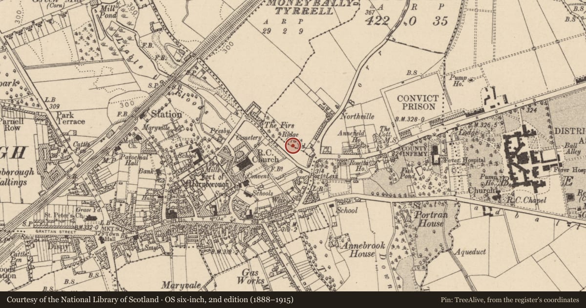 Ordnance Survey six-inch map, 2nd edition (1888–1915) covering the location of Church, County Laois, with a pin at the register's coordinates