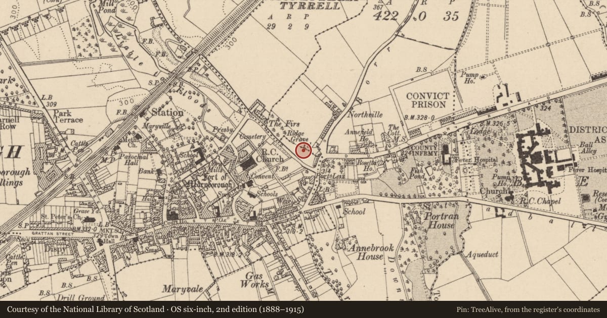 Ordnance Survey six-inch map, 2nd edition (1888–1915) covering the location of Graveyard, County Laois, with a pin at the register's coordinates
