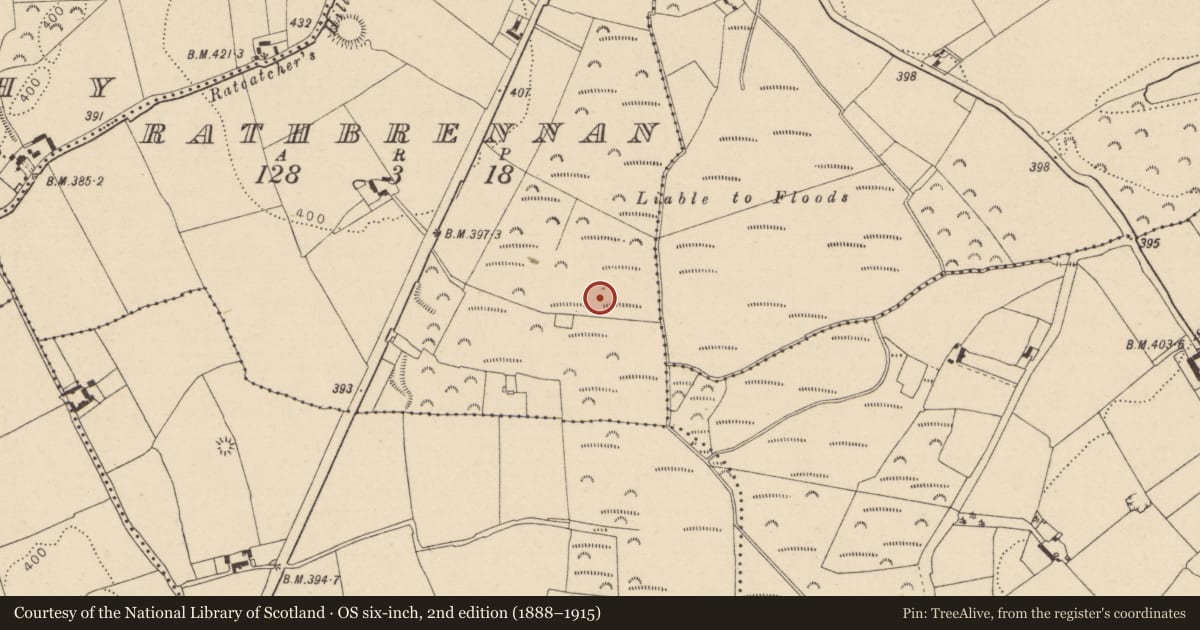 Ordnance Survey six-inch map, 2nd edition (1888–1915) covering the location of Barrow - unclassified, Rathbrennan, County Laois, with a pin at the register's coordinates