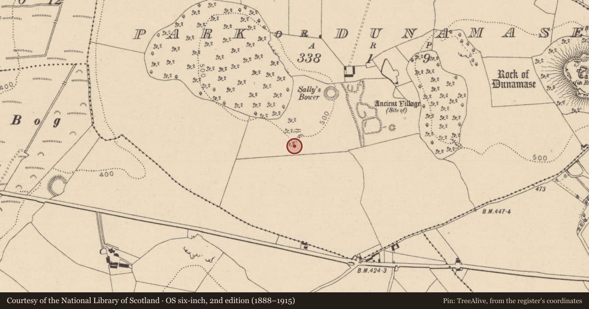 Ordnance Survey six-inch map, 2nd edition (1888–1915) covering the location of Barrow - unclassified, Park Or Dunamase, County Laois, with a pin at the register's coordinates