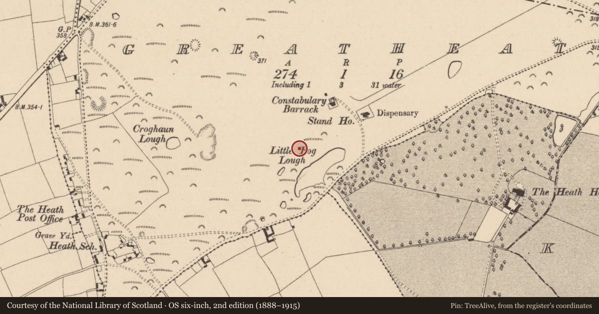 Ordnance Survey six-inch map, 2nd edition (1888–1915) covering the location of Barrow - ring-barrow, Greatheath, County Laois, with a pin at the register's coordinates