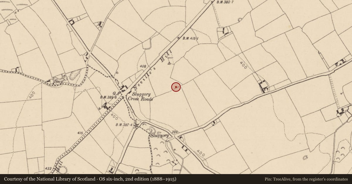 Ordnance Survey six-inch map, 2nd edition (1888–1915) covering the location of Ring-ditch, Ballydavis, County Laois, with a pin at the register's coordinates
