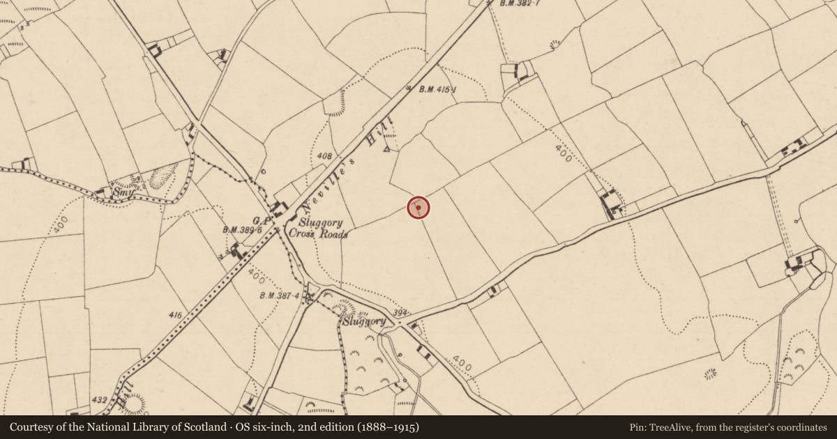 Ordnance Survey six-inch map, 2nd edition (1888–1915) covering the location of Ring-ditch, Ballydavis, County Laois, with a pin at the register's coordinates