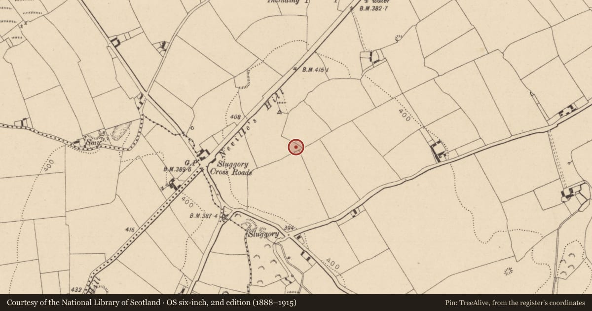 Ordnance Survey six-inch map, 2nd edition (1888–1915) covering the location of Ring-ditch, Ballydavis, County Laois, with a pin at the register's coordinates
