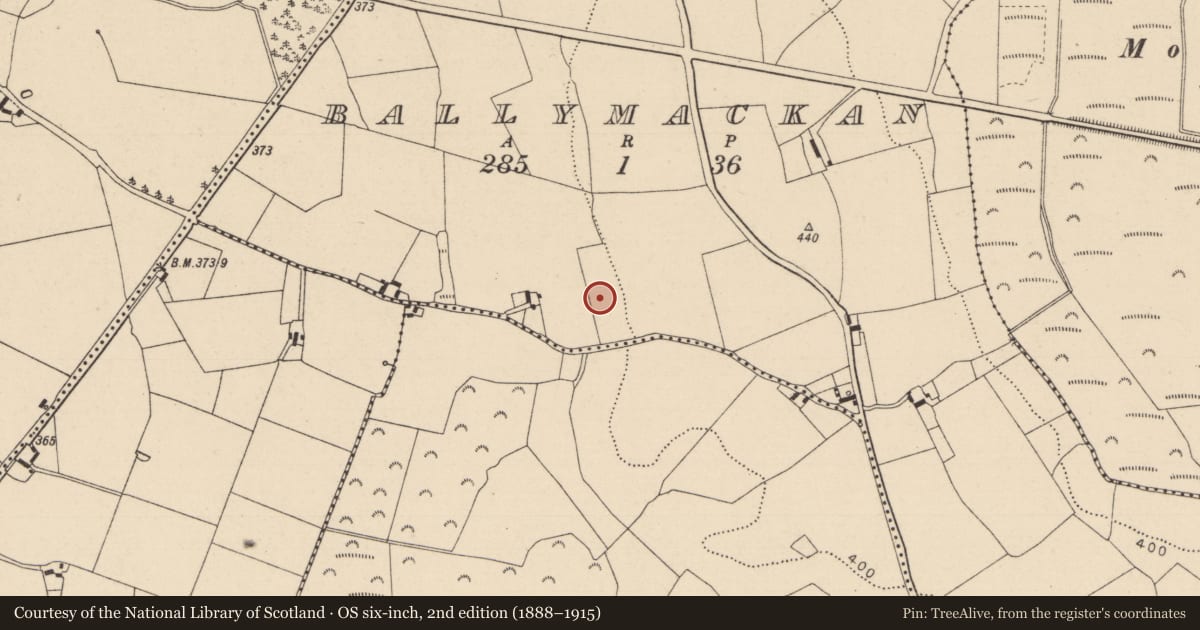 Ordnance Survey six-inch map, 2nd edition (1888–1915) covering the location of Fulacht fia, Ballymackan, County Laois, with a pin at the register's coordinates