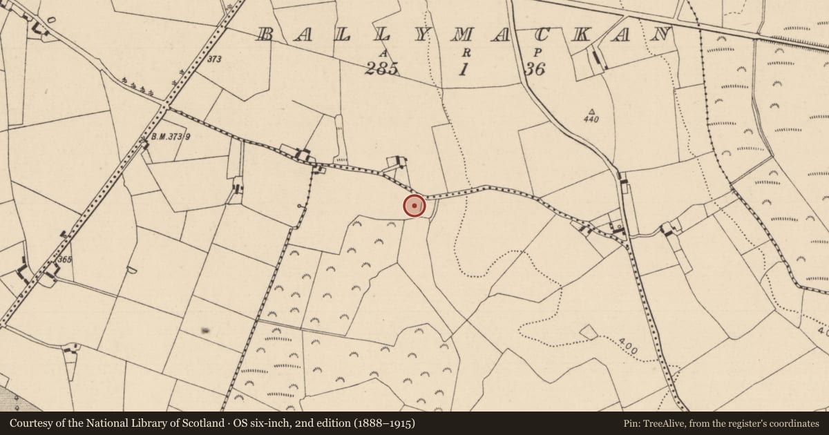 Ordnance Survey six-inch map, 2nd edition (1888–1915) covering the location of Fulacht fia, Derry, County Laois, with a pin at the register's coordinates