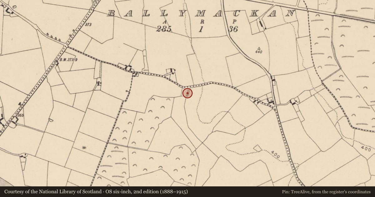 Ordnance Survey six-inch map, 2nd edition (1888–1915) covering the location of Fulacht fia, Derry, County Laois, with a pin at the register's coordinates