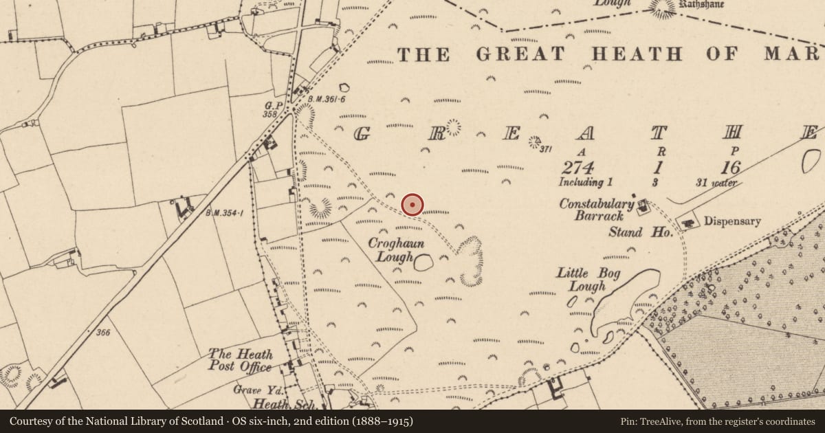 Ordnance Survey six-inch map, 2nd edition (1888–1915) covering the location of Hut site, Greatheath, County Laois, with a pin at the register's coordinates