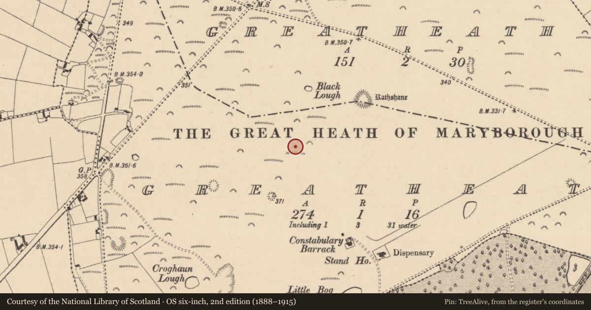 Ordnance Survey six-inch map, 2nd edition (1888–1915) covering the location of Barrow - unclassified, Greatheath, County Laois, with a pin at the register's coordinates