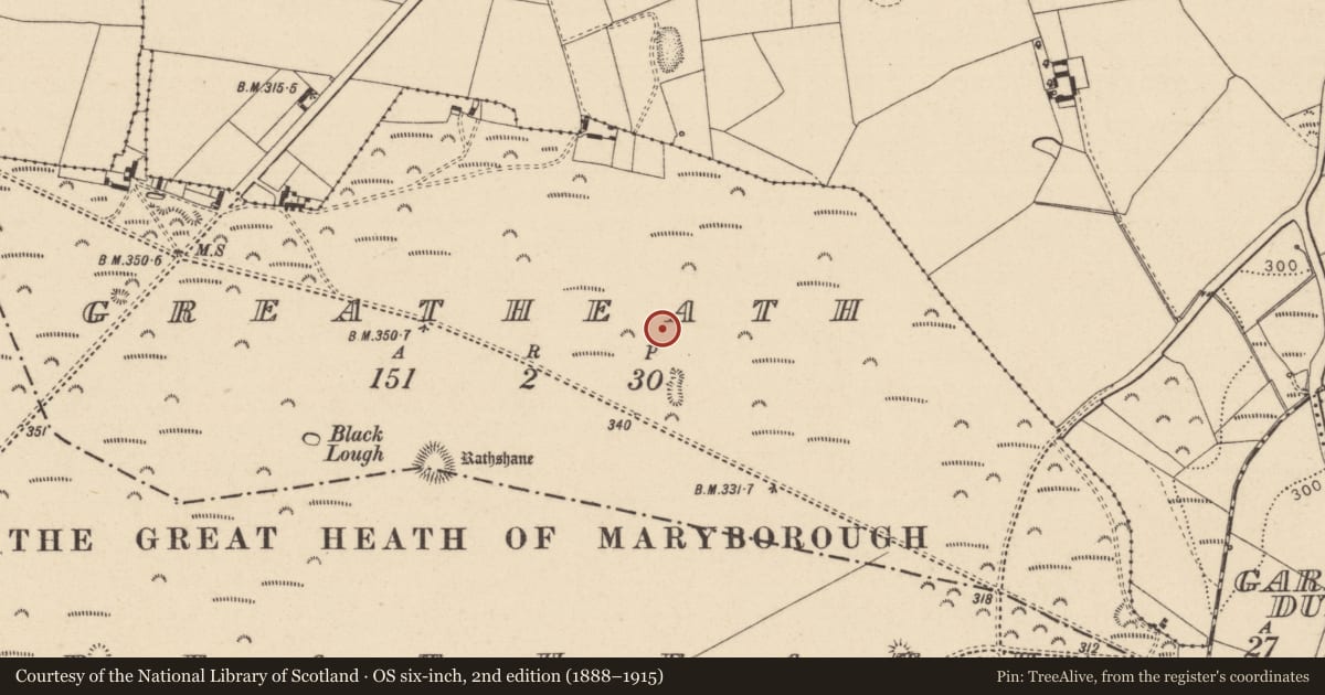 Ordnance Survey six-inch map, 2nd edition (1888–1915) covering the location of Barrow - unclassified, Greatheath, County Laois, with a pin at the register's coordinates