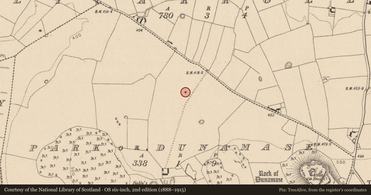 Ordnance Survey six-inch map, 2nd edition (1888–1915) covering the location of Deer park, Ballycarroll, Park Or Dunamase, County Laois, with a pin at the register's coordinates