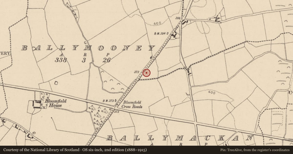 Ordnance Survey six-inch map, 2nd edition (1888–1915) covering the location of Burnt spread, Ballymooney, County Laois, with a pin at the register's coordinates