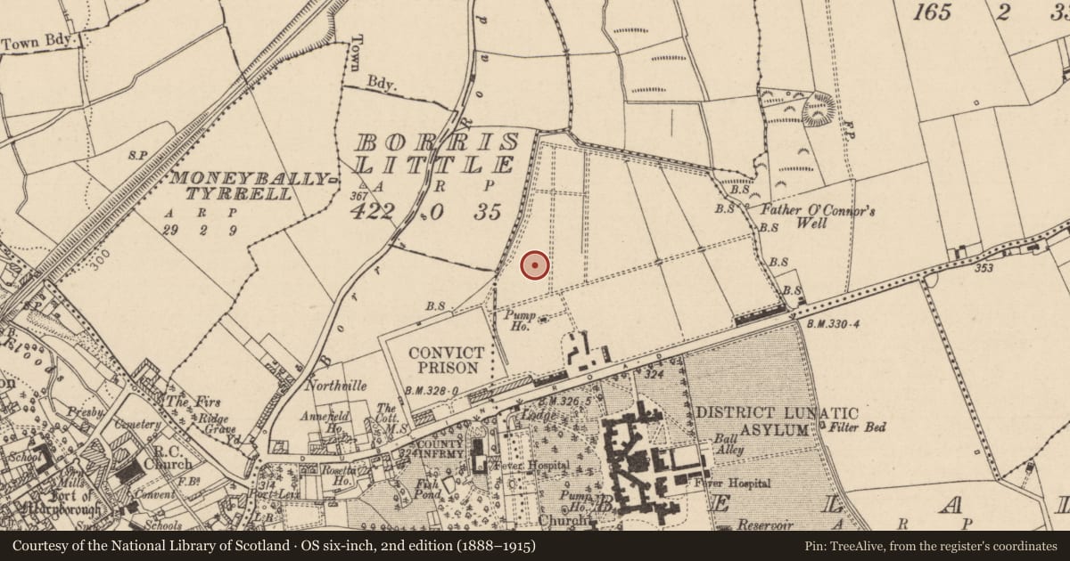 Ordnance Survey six-inch map, 2nd edition (1888–1915) covering the location of Burial, Beladd, County Laois, with a pin at the register's coordinates