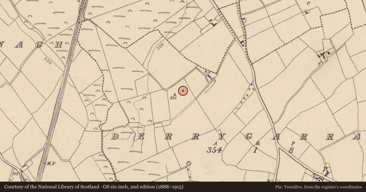 Ordnance Survey six-inch map, 2nd edition (1888–1915) covering the location of Burial, Derrygarran, County Laois, with a pin at the register's coordinates