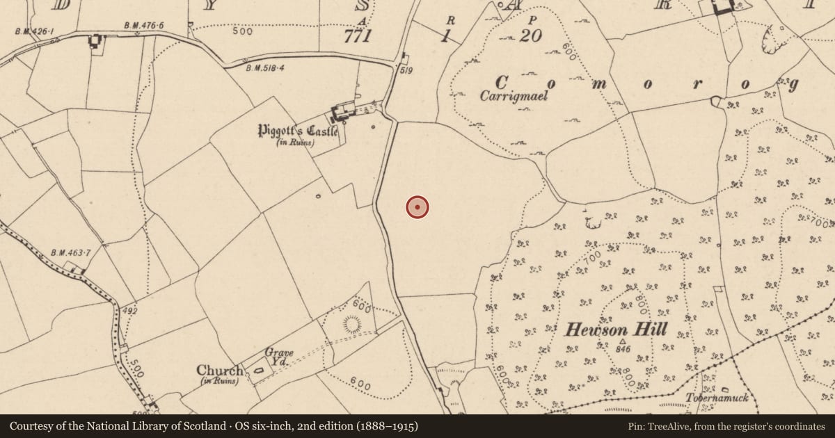 Ordnance Survey six-inch map, 2nd edition (1888–1915) covering the location of Enclosure, Dysart, County Laois, with a pin at the register's coordinates