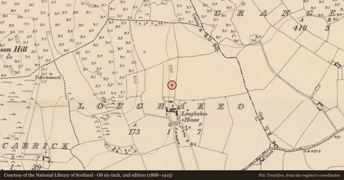 Ordnance Survey six-inch map, 2nd edition (1888–1915) covering the location of Enclosure, Loughakeo, County Laois, with a pin at the register's coordinates