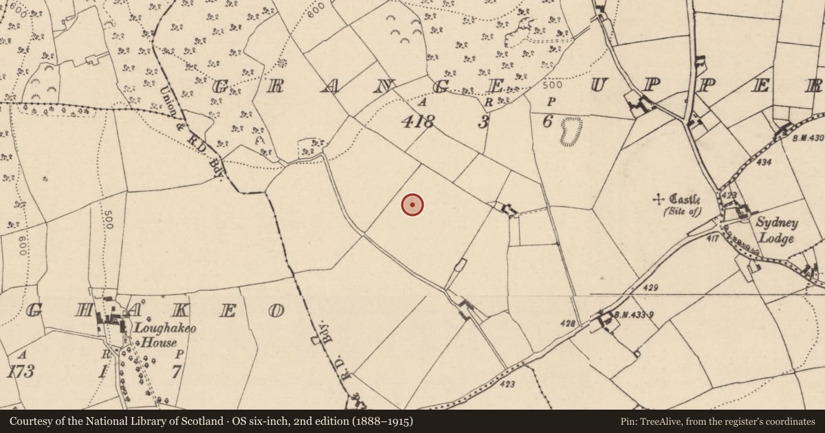 Ordnance Survey six-inch map, 2nd edition (1888–1915) covering the location of Enclosure, Grange Upper, County Laois, with a pin at the register's coordinates