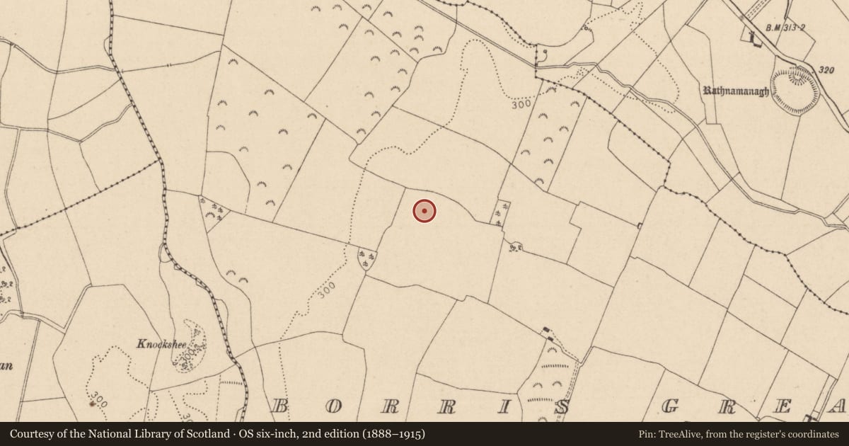 Ordnance Survey six-inch map, 2nd edition (1888–1915) covering the location of Enclosure, Borris Great, County Laois, with a pin at the register's coordinates