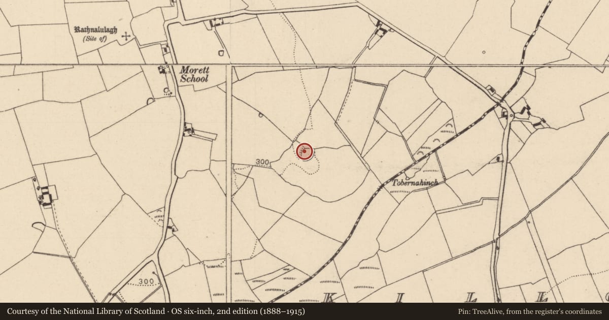 Ordnance Survey six-inch map, 2nd edition (1888–1915) covering the location of Enclosure, Morett, County Laois, with a pin at the register's coordinates