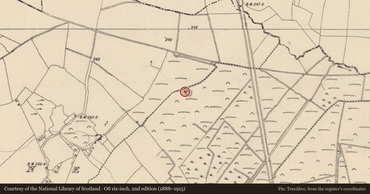 Ordnance Survey six-inch map, 2nd edition (1888–1915) covering the location of Enclosure, Kilmurry, County Laois, with a pin at the register's coordinates